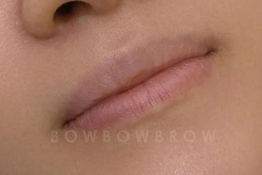 Pale even-toned lips before lips embroidery, Bowbowbrow Malaysia