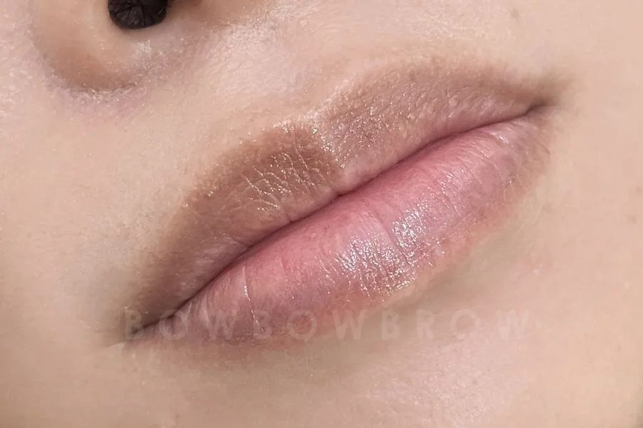 Dark cool-toned lips before lips neutralization, Bowbowbrow Malaysia